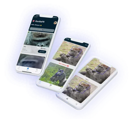 Mountain gorilla face recognition
